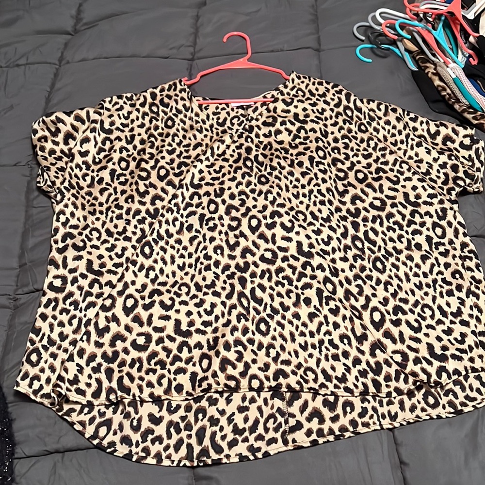 Pink Lily leopard blouse